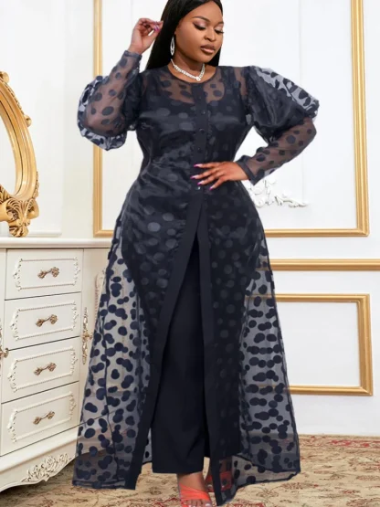 Plus Size Polka Dot Sheer Dress