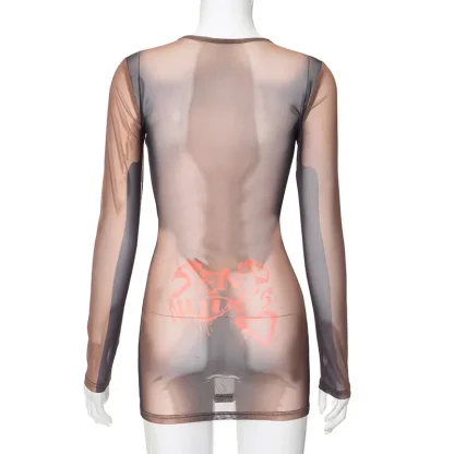 Long Sleeve Bodycon Mesh Dress - Image 6