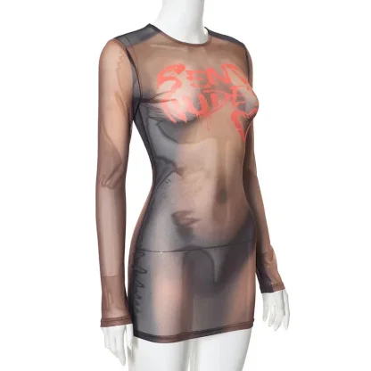Long Sleeve Bodycon Mesh Dress - Image 5