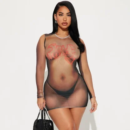 Long Sleeve Bodycon Mesh Dress