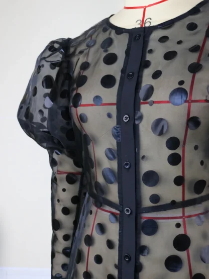 Plus Size Polka Dot Sheer Dress - Image 5