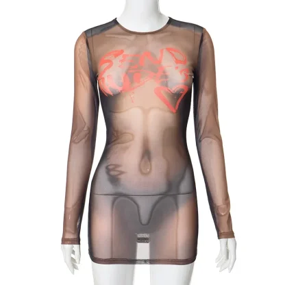 Long Sleeve Bodycon Mesh Dress - Image 4